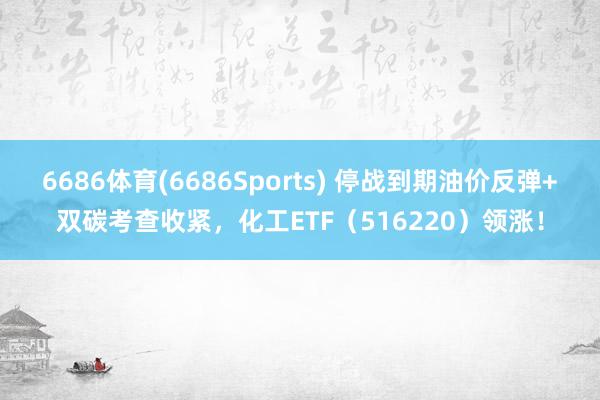 6686体育(6686Sports) 停战到期油价反弹+双碳考查收紧，化工ETF（516220）领涨！