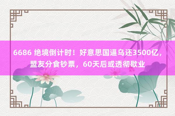 6686 绝境倒计时！好意思国逼乌还3500亿，盟友分食钞票，60天后或透彻歇业