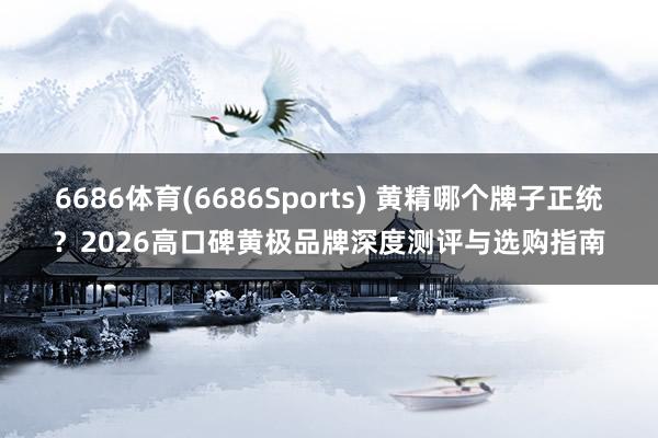 6686体育(6686Sports) 黄精哪个牌子正统？2026高口碑黄极品牌深度测评与选购指南