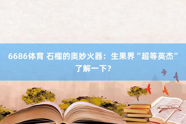 6686体育 石榴的奥妙火器：生果界“超等英杰”了解一下？