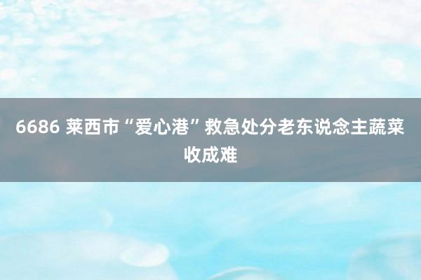 6686 莱西市“爱心港”救急处分老东说念主蔬菜收成难