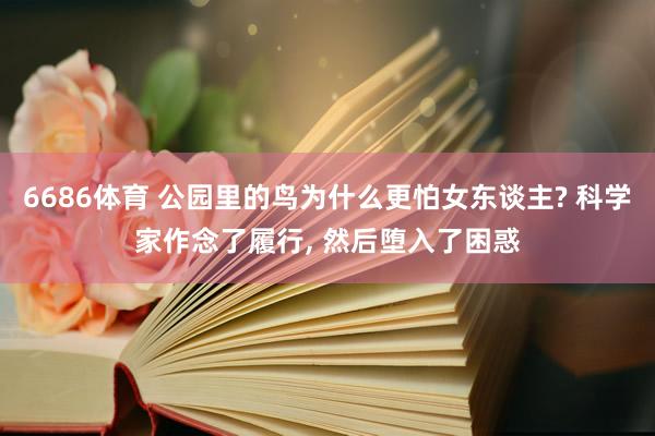 6686体育 公园里的鸟为什么更怕女东谈主? 科学家作念了履行， 然后堕入了困惑